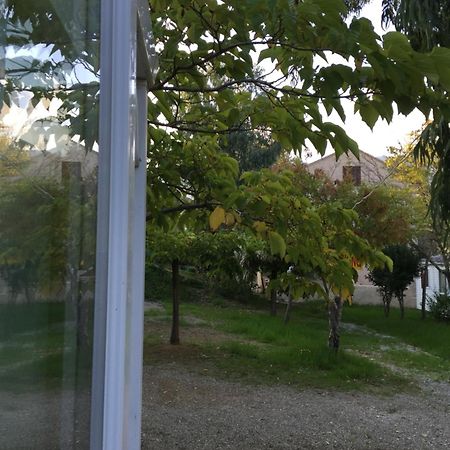 Camping Les Orangers San-Martino-di-Lota Номер фото