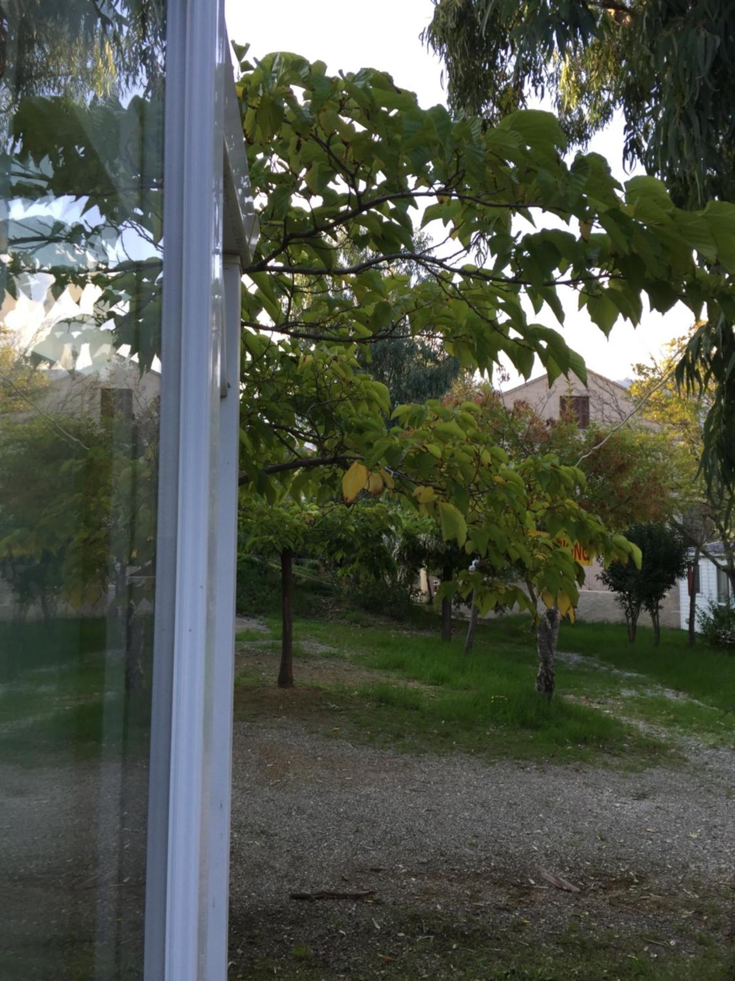 Camping Les Orangers San-Martino-di-Lota Номер фото